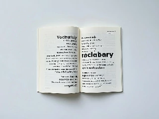 110 IELTS Words, IELTS Vocabulary List